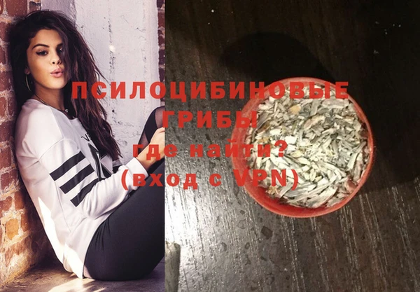 амф Алексин