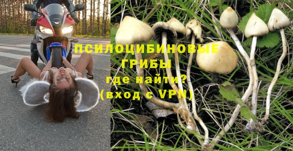 амф Алексин