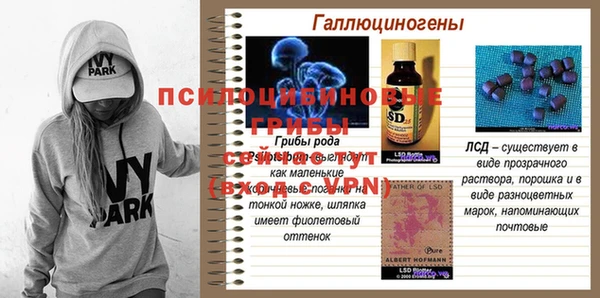 амф Алексин