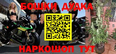 стаф Кимры