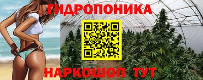 стаф Кимры