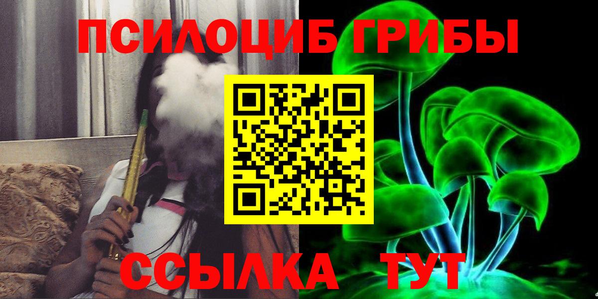 Киреевск  Галлюциногенные грибы прущие грибы  хочу   Вход с VPN 