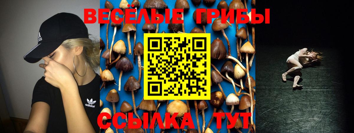 Галлюциногенные грибы ЛСД Киреевск